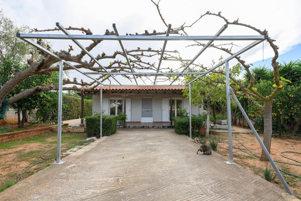 Farmbill Villa Markopoulo Mesogaias Ngoại thất bức ảnh